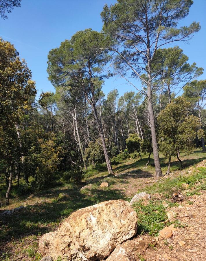 Les Hauts Du Peireguier La Motte Dış mekan fotoğraf